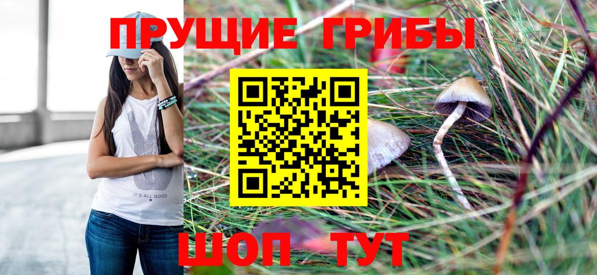 купить наркотик  Галлюциногенные грибы Magic Shrooms  Вход с VPN  Галлюциногенные грибы GOLDEN TEACHER  Полысаево 